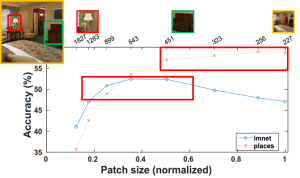 Scaling-induced bias in ImageNet-CNN and Places-CNN